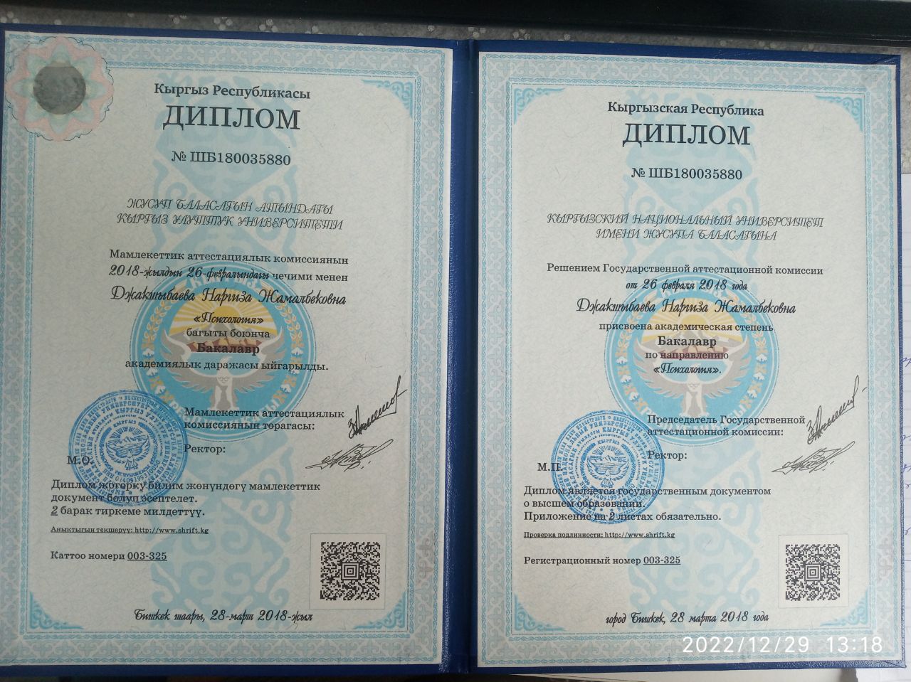 Диплом бакалавра психологии